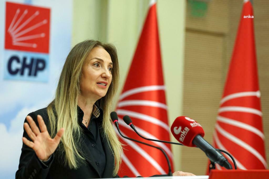 AYLİN NAZLIAKA: “‘KIZIL GONCALAR’ DİZİSİNDEN NEDEN RAHATSIZ OLDUNUZ?''