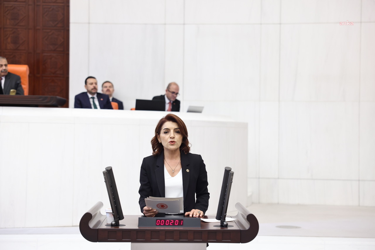 CHP'li Kış'tan Bakan Bolat'a: "Kurban Bayramı öncesi gelen fahiş zamlar konusunda hangi önlemler alındı?"