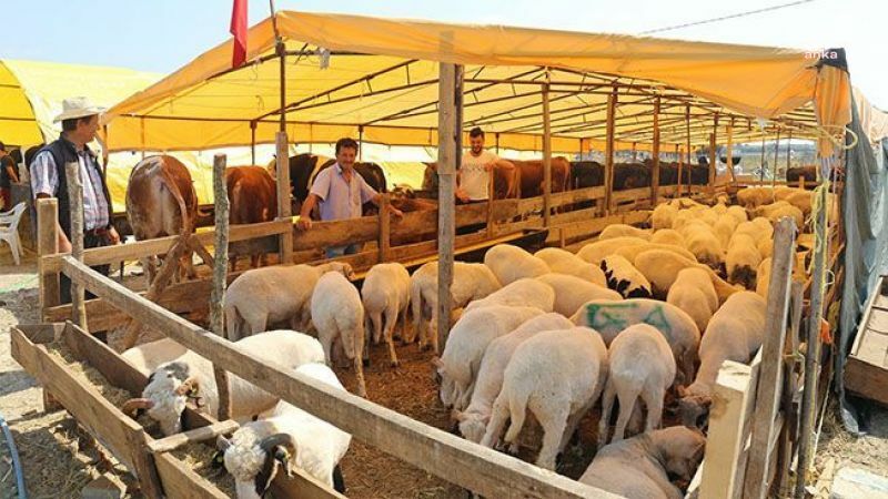 Emniyet  Genel Müdürlüğü'nden kurban dolandırıcılarına karşı uyarı: "İnternet bedelinin altında satış yapan sitelerden uzak durun"