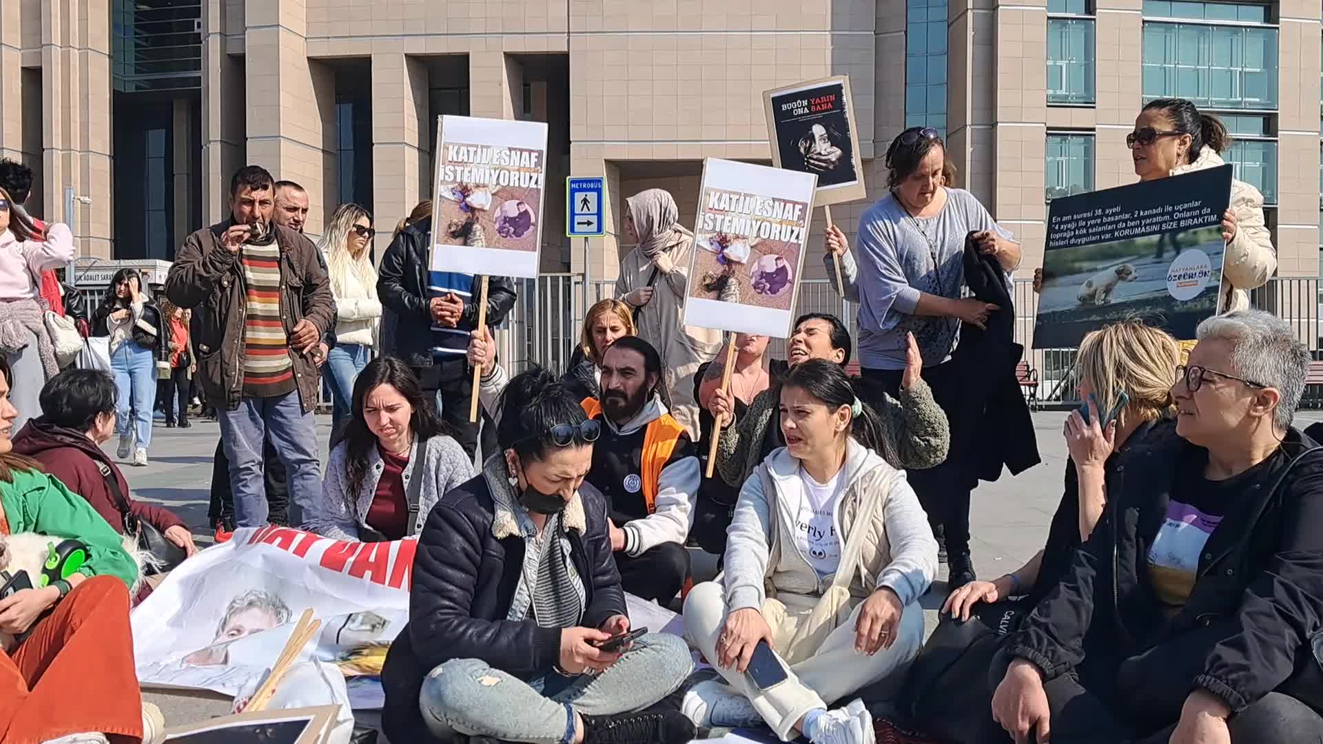 Fatih Cami Çevresindeki Kedileri Toplayıp İzmit'teki İşyerinde Öldüren Sanığa Hayvanseverlerden Tepki