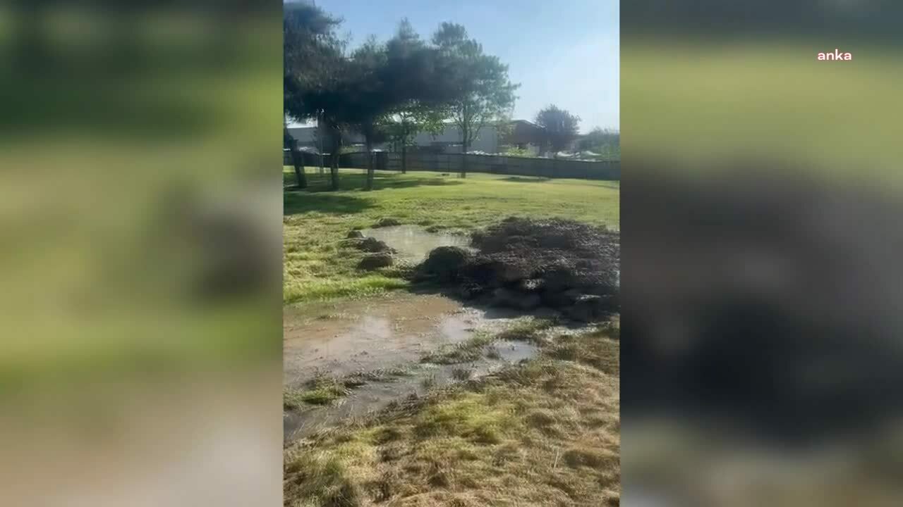 İBB TEFTİŞ KURULU, 5 YAŞINDAKİ EDANUR GEZER'İN ÖLÜMÜYLE İLGİLİ SORUŞTURMAYI TAMAMLADI: AĞAÇ A.Ş. PERSONELİNE İHRAÇ, PARK VE BAHÇELER DAİRE BAŞKANLIĞI BİRİM YÖNETİCİLERİNE KINAMA CEZASI ÖNERİLDİ 