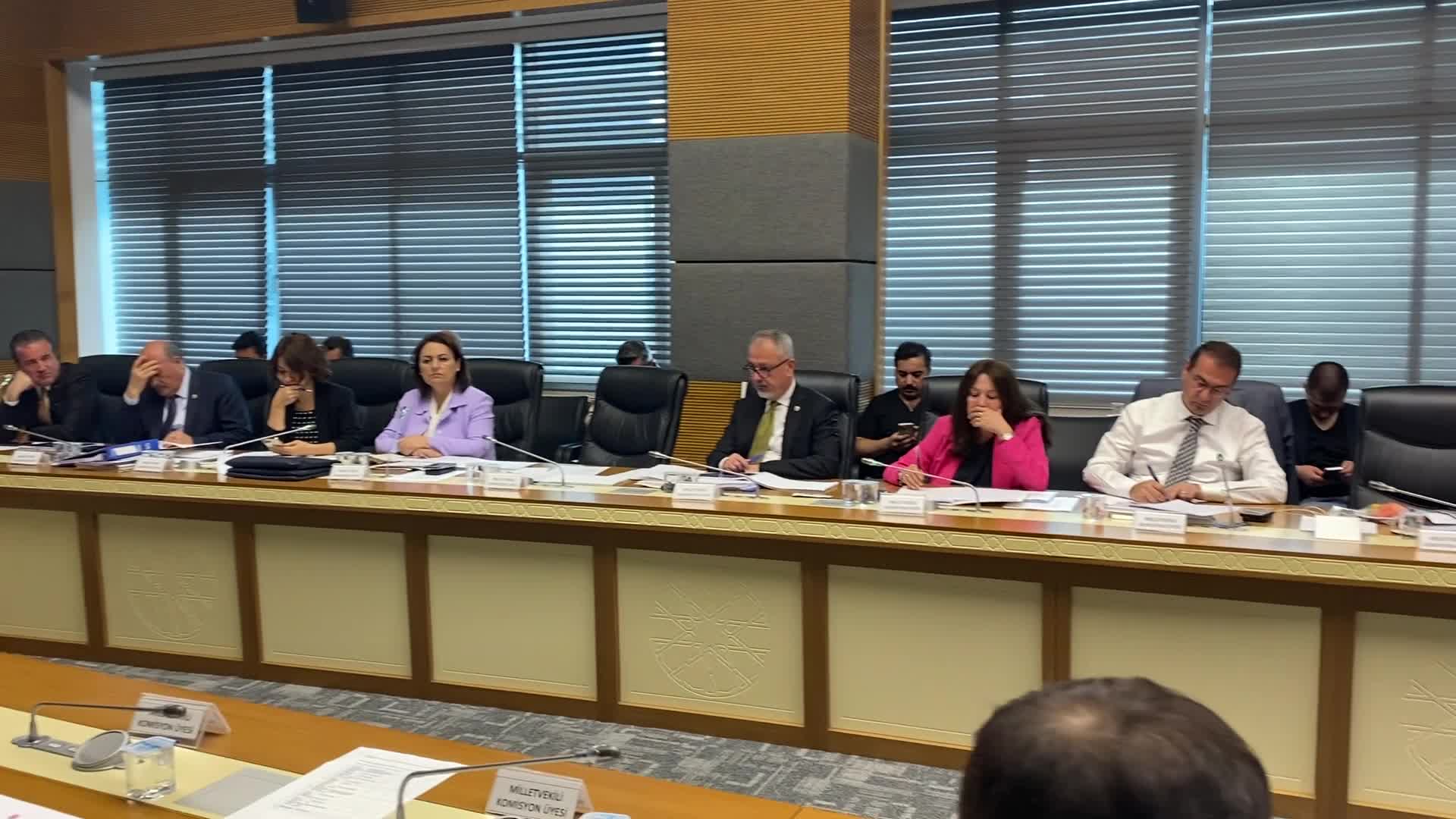 İliç Araştırma Komisyonu, Anagold Madencilik temsilcilerini dinliyor...  liçteki "çatlakların çimentoyla kapatılması" uyarısı yapılmış