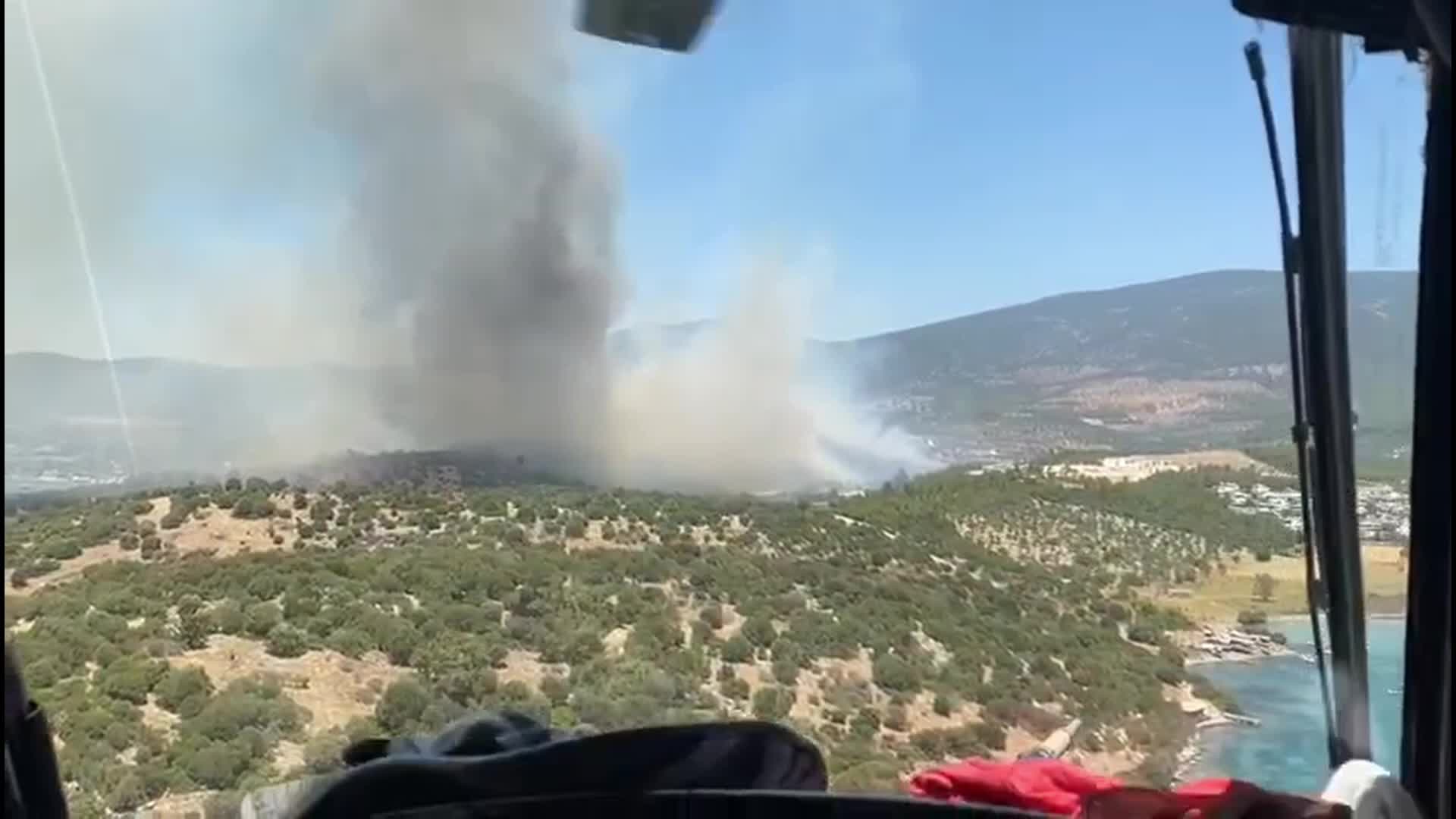Muğla Milas'ta orman yangını