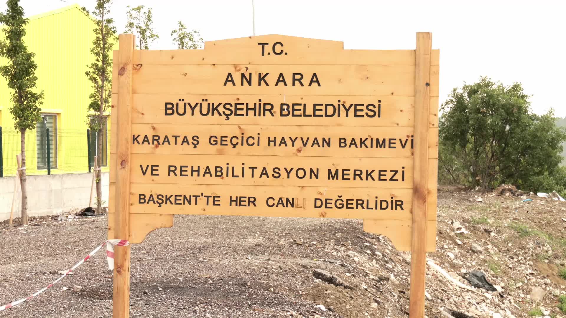 Sokak hayvanlarının uyutulması hazırlığına hayvanseverler tepkili: "Önce benim canımı alsınlar, sonra köpeklerime dokunabilirler"