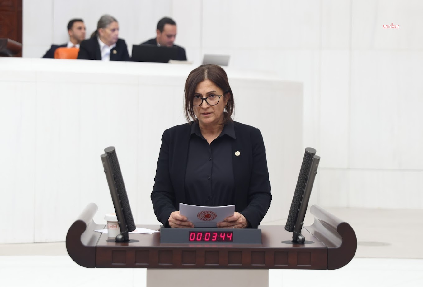 Türkan Elçi'den Bakan Yumaklı'ya: "Sokak hayvanları probleminin çözümü için STK ve hayvan hakları savunucuları ile görüşüldü mü?"