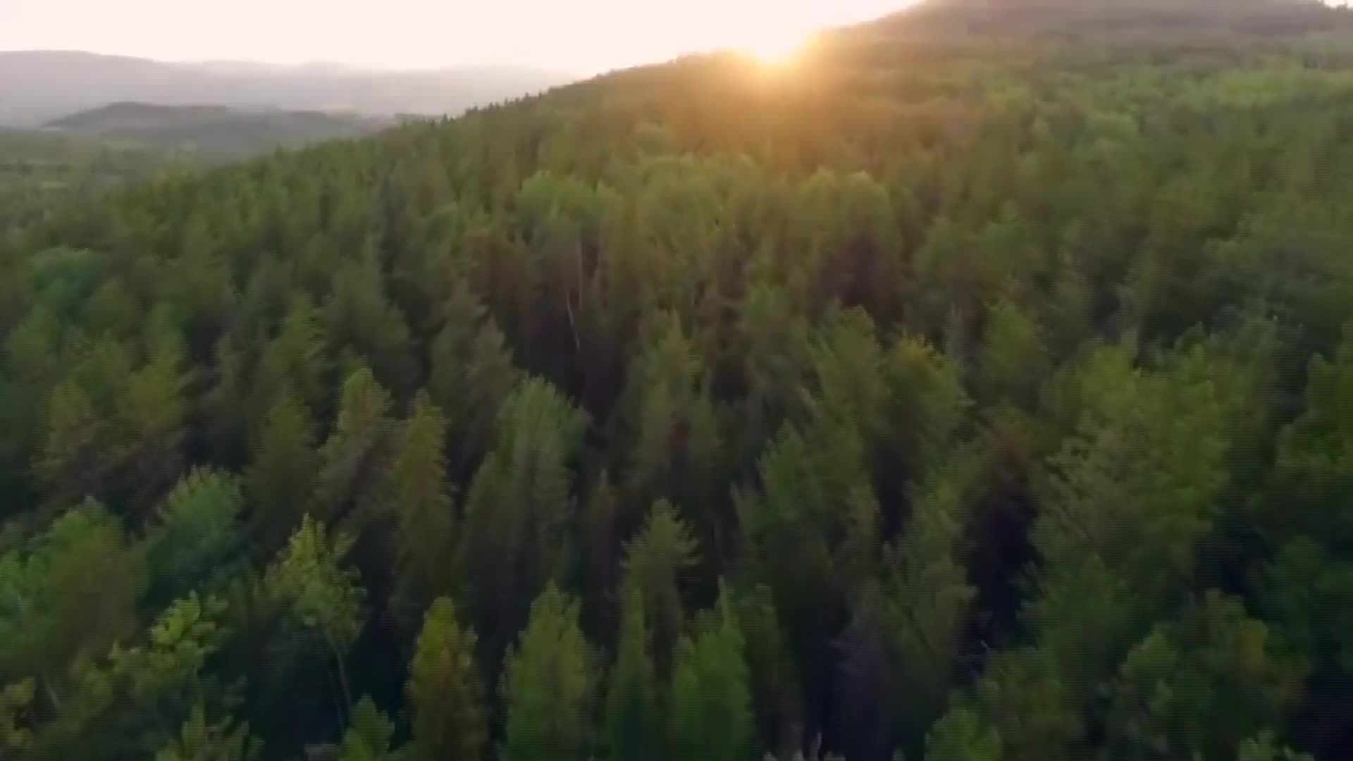 TÜRKİYE ORMANCILAR DERNEĞİ BAŞKANI HÜSREV ÖZKARA: “3 BİN 200 ADET FUTBOL SAHASI BÜYÜKLÜĞÜNDEKİ ALAN ORMANLIK VASFINDAN ÇIKARILDI"