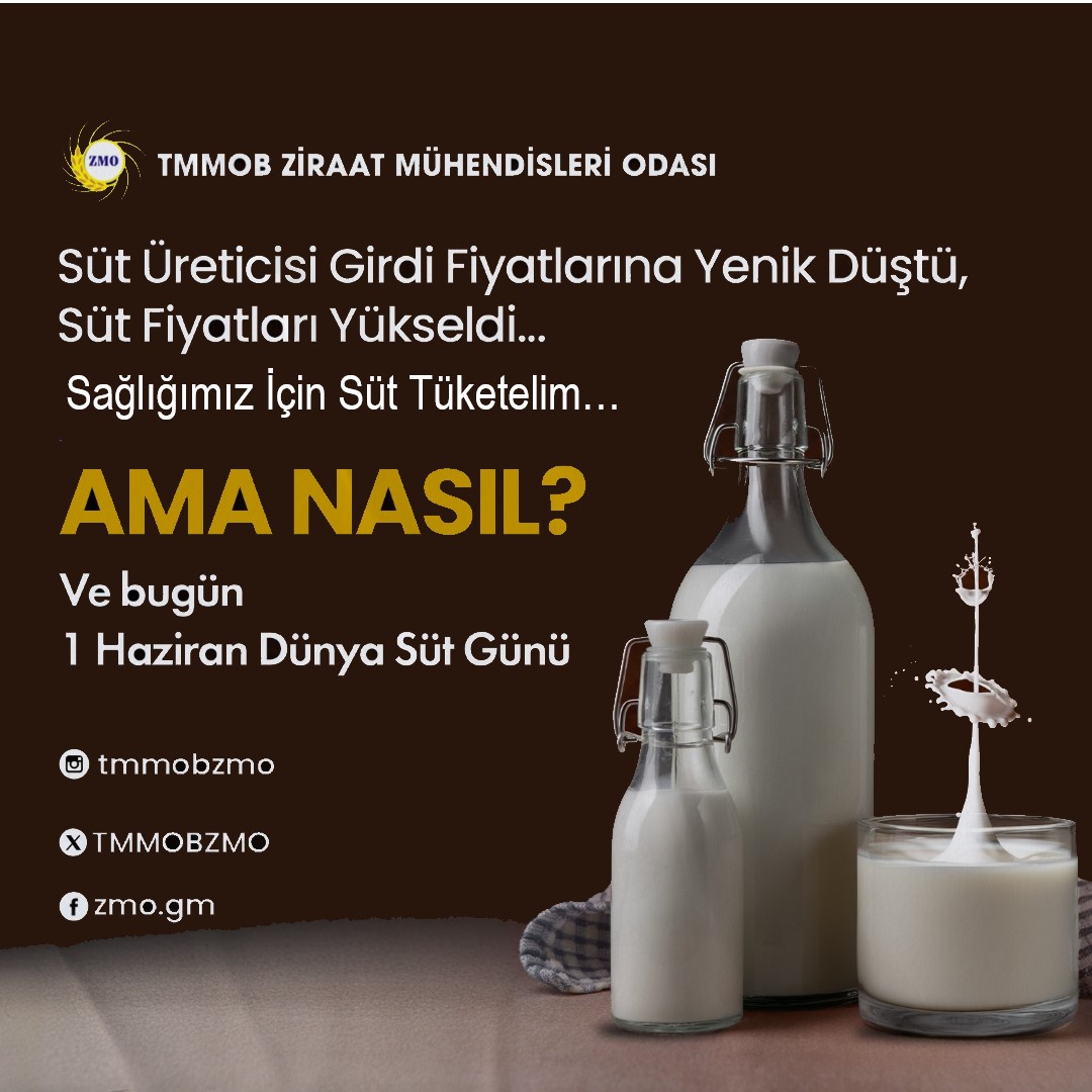 Ziraat Mühendisleri Odası’ndan Dünya Süt Günü açıklaması: “Ulusal Süt Konseyi, piyasayı üretici ve tüketici lehine düzenleyememektedir”