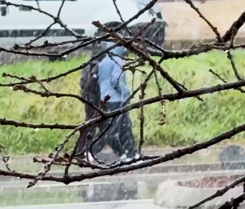 İstanbul'un Bazı İlçelerinde Karla Karışık Yağmur Etkili Oluyor