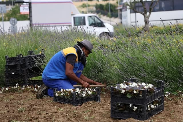 Silivri'de Parklar Yenileniyor, Yeşil Alanlar Bakıma Alınıyor