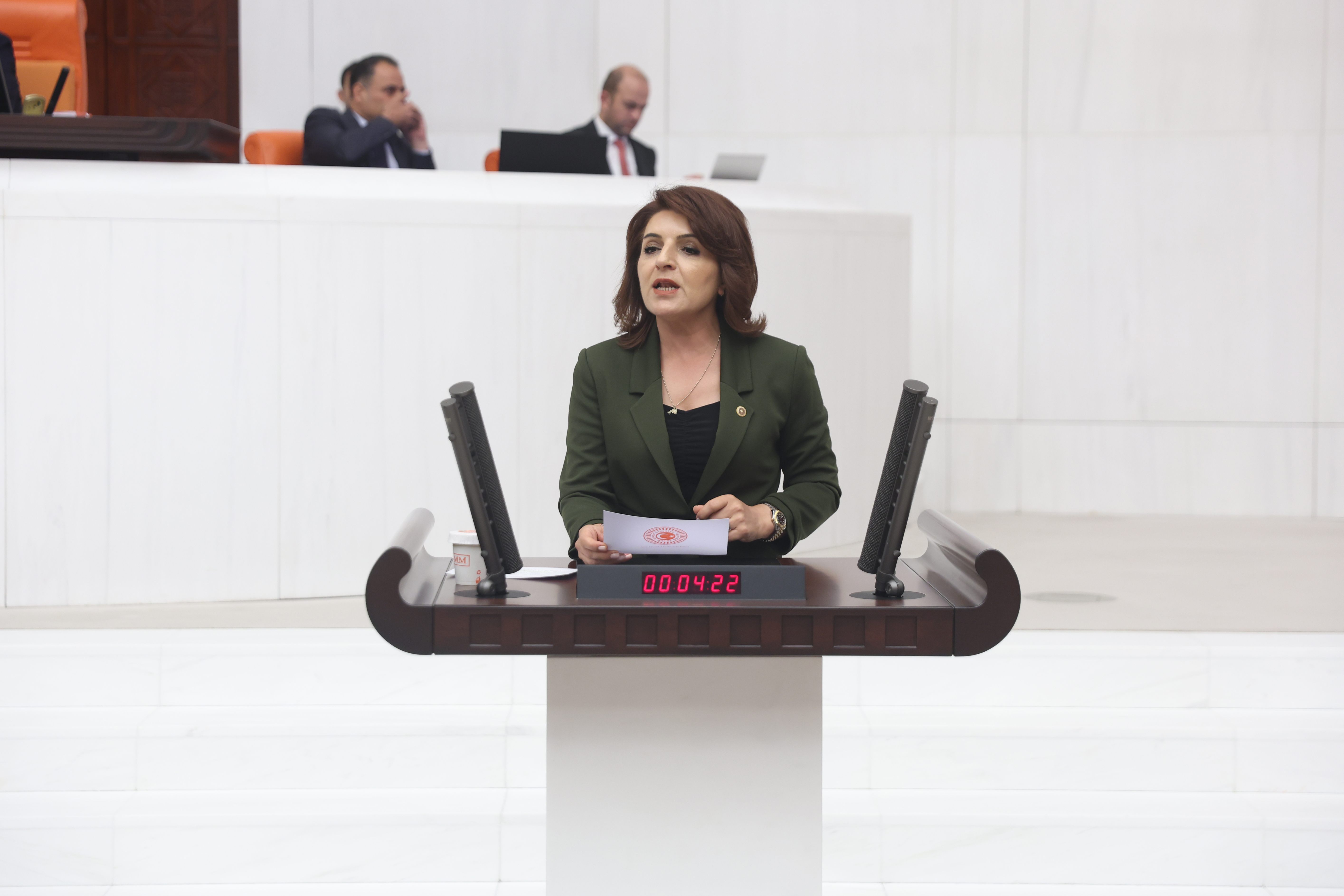 CHP'li Gülcan Kış: "Tasarruf Masalı, Halkı Yoksullaştırıyor!"