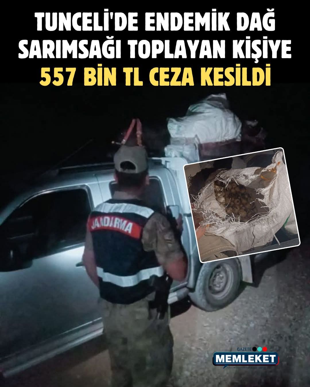 Tunceli’de Dağ Sarımsağı Toplayan Kişiye 557 Bin TL Ceza